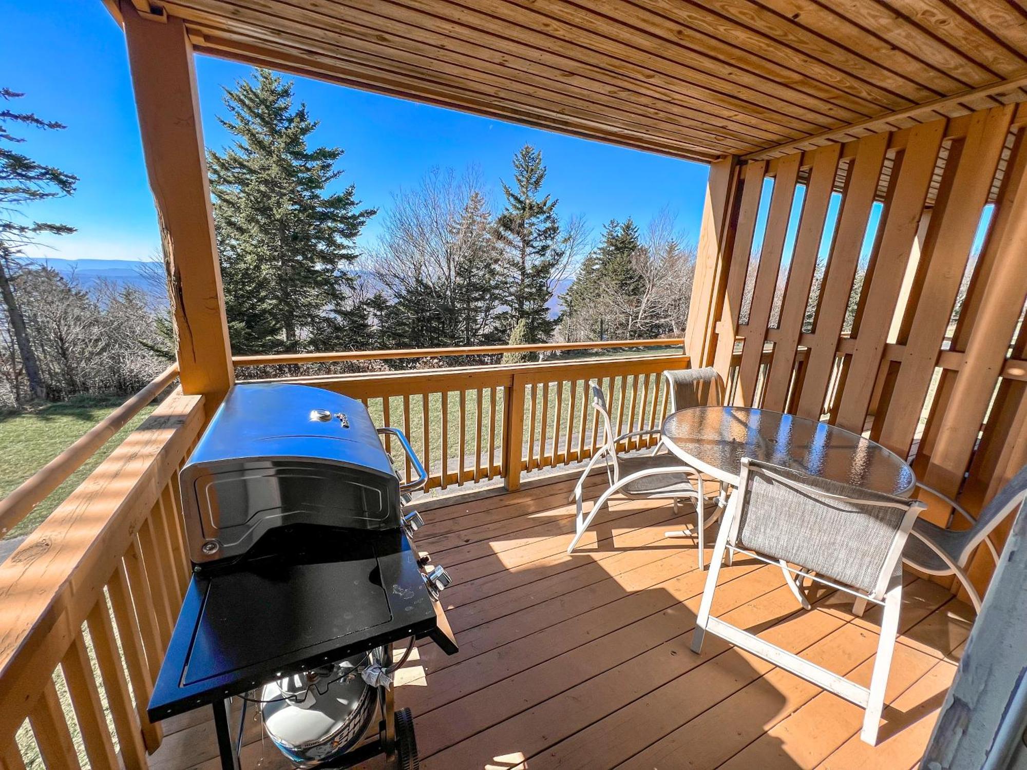 Remodeled Summit Condo At Snowshoe - Modern & Cozy 外观 照片